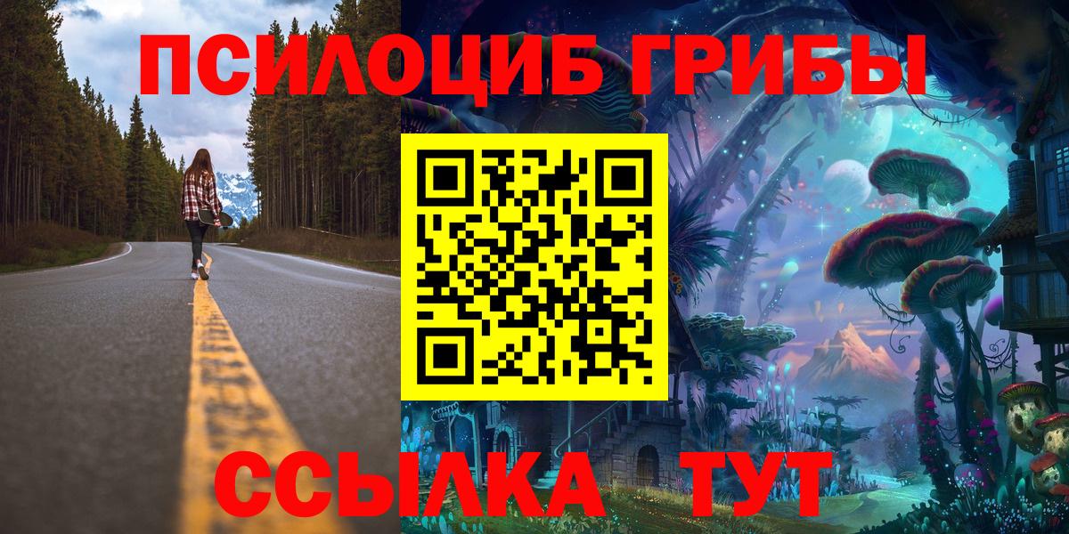 Галлюциногенные грибы Cubensis  Галлюциногенные грибы ЛСД  Вологда  где найти наркотики  Вход с VPN 
