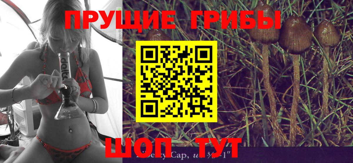 Псилоцибиновые грибы Psilocybine cubensis Вологда